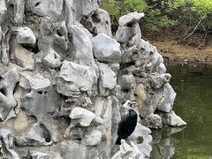 -合肥野生动物园