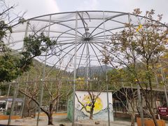 -南丹山森林王国