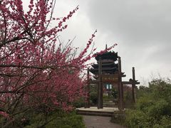 -杭州半山国家森林公园