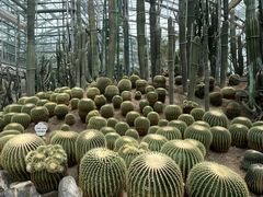 -南山植物园