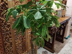 -小天厨民间菜馆(深圳街店)