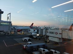 -约翰·菲茨杰拉德·肯尼迪国际机场