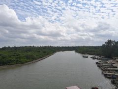 -东寨港红树林旅游区