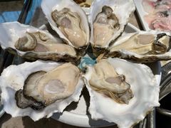 湛江大生蚝-淘米捞·米汤脆鲩鱼火锅(福田皇岗店)