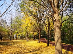 -国家植物园南园