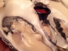 -Oyster Talks 四度蚝法餐厅