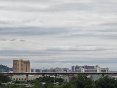 -王借岗森林公园