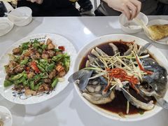 -煲来饱去冷水鱼