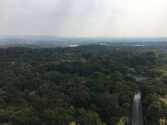 -灵谷景区