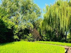 -北坞公园