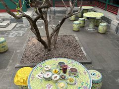 -宫事颐庭·老佛爷贵寿下午茶(颐和园店)