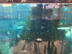 -鸿通城购物中心