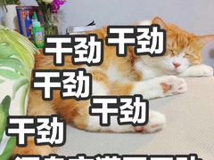 -福烤锦花(长乐路店)