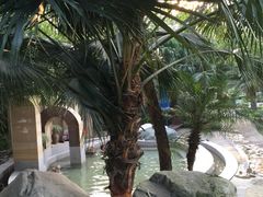 鱼凫国都温泉-鱼凫国都大酒店温泉