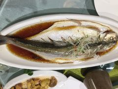 iphone_upload_pic-渔堂公园餐厅·本帮菜(乐园路店)