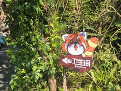 -普洱太阳河森林公园