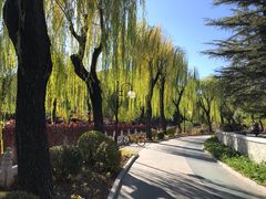 -清华大学-清芬园