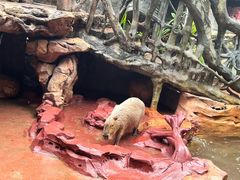 -长鹿旅游休博园
