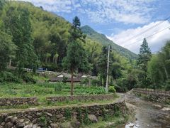 -MOJ coffee(瓯海泽雅水碓坑店)