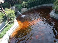 -杭州第一世界大酒店·云曼温泉
