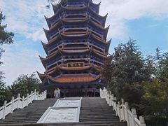 -铁山坪森林公园