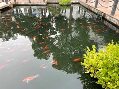 -长阳创谷