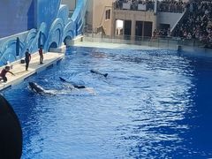 -上海海昌海洋公园