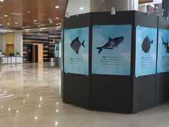 -厦门市图书馆(集美新城馆区)