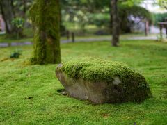 -西芳寺(苔寺)