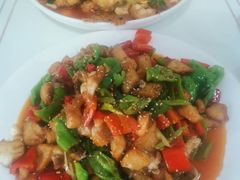 -煲来饱去冷水鱼