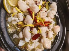 脆肉皖酸菜鱼-楼上大排档·顺德菜·粥水·鱼生(苗栗路店)