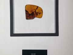 -河北博物院
