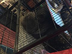 -三剑客沉浸式密室(城阳家佳源三店)