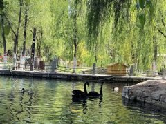 -水磨沟公园