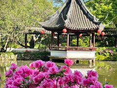 -上海醉白池公园
