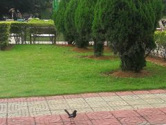 -大嶝英雄三岛战地观光园