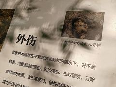 -香市公园-中国沉香文化博物馆