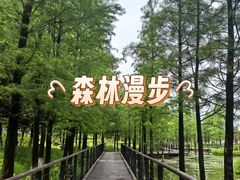 -映月湖公园