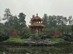 -四川大学(望江校区)