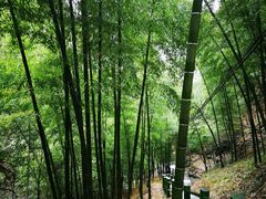 -藏龙百瀑风景区