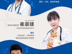 -芭比堂动物医院·CT·微创中心(新顺分院)