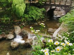 -宁波五龙潭景区