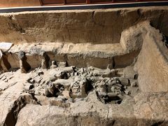 -秦始皇帝陵博物院(兵马俑)