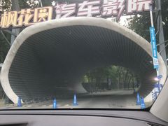 -枫花园汽车电影院(朝阳公园店)