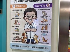 -北京观赏动物医院·24小时大型综合·猫专科·异宠专科
