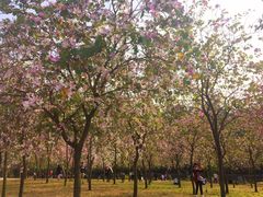 -广东工业大学(大学城校区)