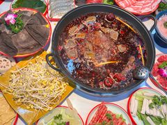 -小龙坎火锅(全球旗舰店)