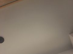-秀丽东方