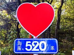 -香山公园