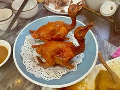 -鸽鸟轩(石岐店)